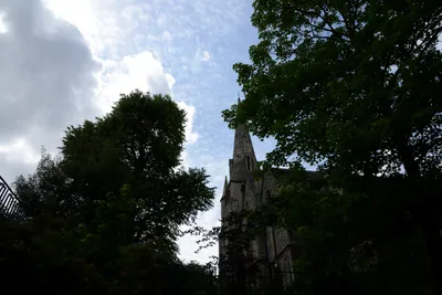 DSC_2770 (Large).JPG